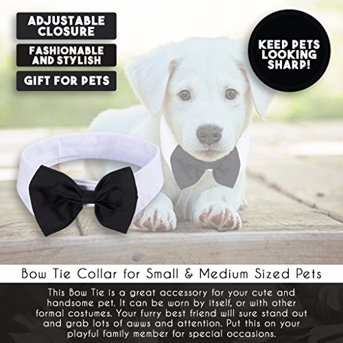 Juvale Tuxedo Costume Necktie for Small and Medium Sized Pets - Black and White, Fits Pets Up To 15.35 Inches in Girth