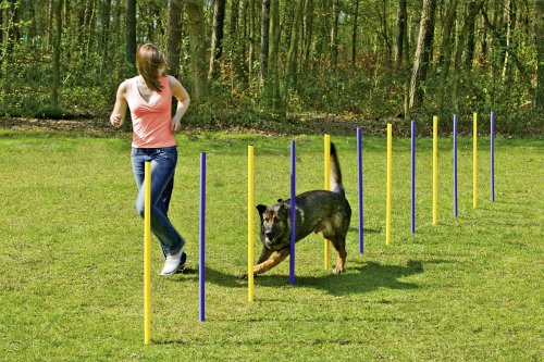 Karlie 31855 Agility Slalom