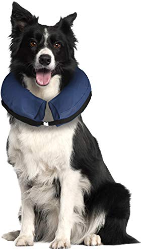 Karlie 513237 Collar Inflable para Perros, 25-40 cm, M