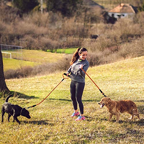 KATELUO Correa Adiestramiento Perro,Correa Perro,Reflexivo Correa Perro Adiestramiento,Ideal para Caminatas, campamentos, Entrenamiento, Caza, Playa, Adecuado para Perros pequeños y medianos.