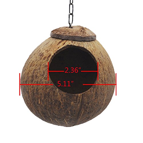 Keersi - Cama Nido Natural de Concha de Coco para pájaros para Loro, Periquito, cacatúa, Cono, Loro, Loro, hámster, Rata, Jaula de Chinchilla, Juguete de Perca