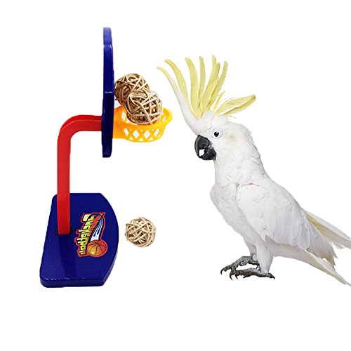 Keersi Mini Canasta intelectiva de Baloncesto para Ave, Juguete de Entrenamiento para Loro, Guacamayo, Gris Africano, cacatúa o Periquito