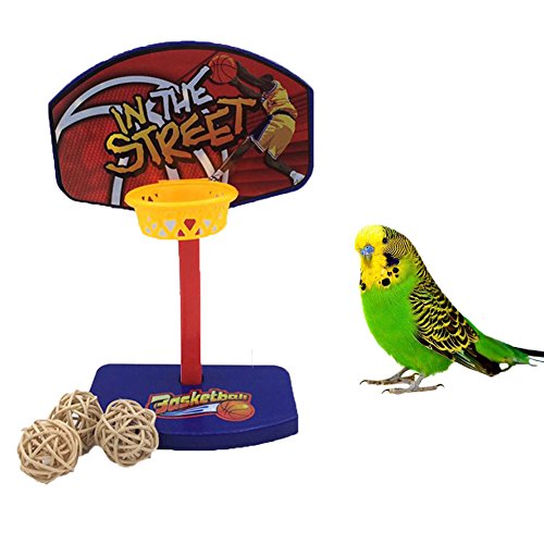 Keersi Mini Canasta intelectiva de Baloncesto para Ave, Juguete de Entrenamiento para Loro, Guacamayo, Gris Africano, cacatúa o Periquito