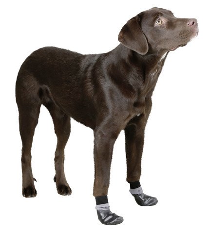 Kerbl - Calcetines para Perro (Talla M)