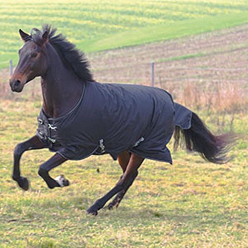 Kerbl RugBe 200 326128 Manta para Caballo, para Invierno, 135 cm, Color Negro