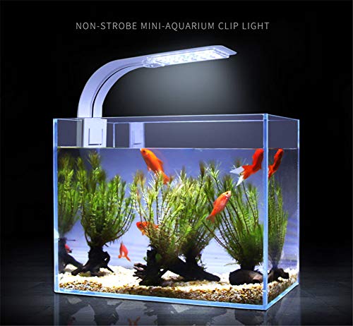 KOKOMALL Luz LED Acuario, Luces Iluminación Clip-on para Acuarios Plantados Lámpara Blanco para Pecera 23-50cm