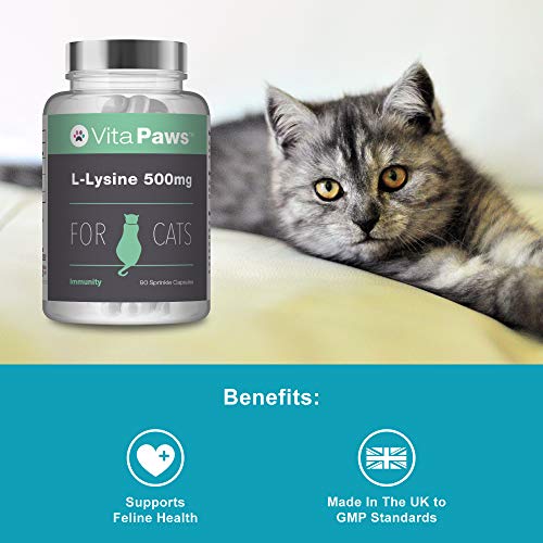 L-Lisina 500mg para Gatos - ¡Bote para 3 meses! - 90 Cápsulas - VitaPaws