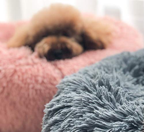 Lamzoom Cama para Mascotas Deluxe para Gatos y Perros pequeños y medianos con cojín Suave Redondo u Ovalado para Nido de Donut, Cama para Mascotas y Gatos para Gatos y Perros pequeños