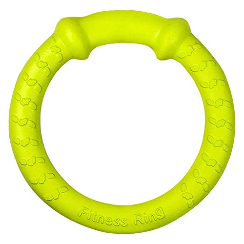 LaRoo Dog Frisbee Dog Disc Toy, Disco de Lanzamiento Duradero para Perros Fuertes para Perros pequeños, medianos y Grandes, Deporte, Ejercicio, Actividad y Juegos al Aire Libre (18 cm Verde)