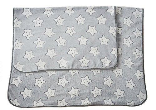 LeerKing Manta de Franela de Forro Polar Supersuave para Perro, Cálida, para Perros Pequeños, Medianos y Grandes, Color Gris Claro 75 x 100 cm