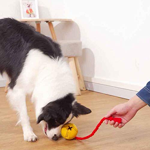 letaowl Pelota Perro Alimentador Regalo Entrenamiento Juguete Juego Interactivo Suministros para Mascotas Resistente A Las Mordeduras, con Una Higiene Dental Perro Jolly Ball Limpieza De Los Dientes