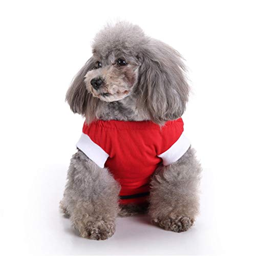 Lidylinashop Ropa para Gatos Pequeños Traje De Recuperación para Gatos Camiseta médica para Perros Perro quirúrgico Chaleco Red,XS