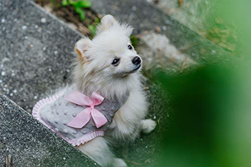 Linda Poms Abrigo para niña Gato Perro Ropa para Perros pequeños Chaqueta Mascotas Traje cálido (XXS)