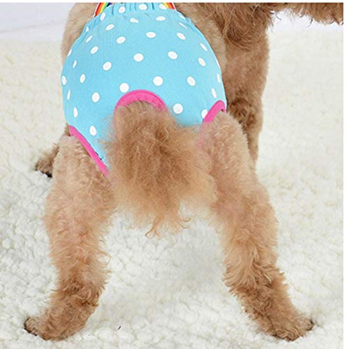 Lindo Dots para Perros Fisiológicos Pantalones Cortos Pantalones Pañales Perrito Resumen La Ropa Interior Transpirable Lavable Bragas Mujer Sanitarias Mascota con Correa