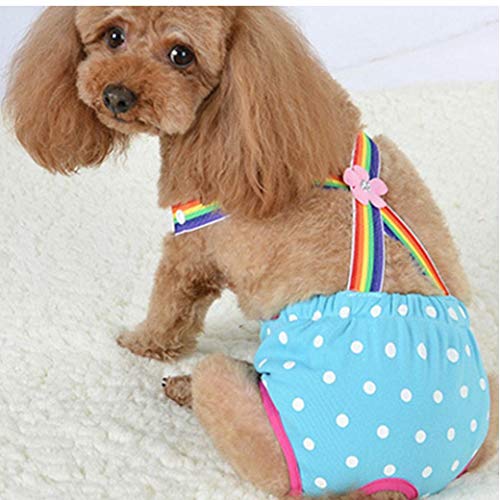 Lindo Dots para Perros Fisiológicos Pantalones Cortos Pantalones Pañales Perrito Resumen La Ropa Interior Transpirable Lavable Bragas Mujer Sanitarias Mascota con Correa