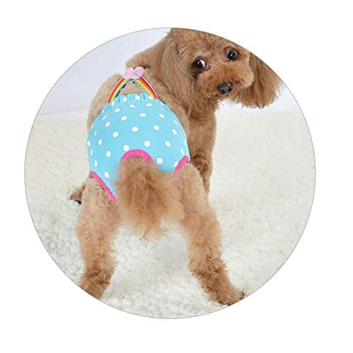 Lindo Dots para Perros Fisiológicos Pantalones Cortos Pantalones Pañales Perrito Resumen La Ropa Interior Transpirable Lavable Bragas Mujer Sanitarias Mascota con Correa