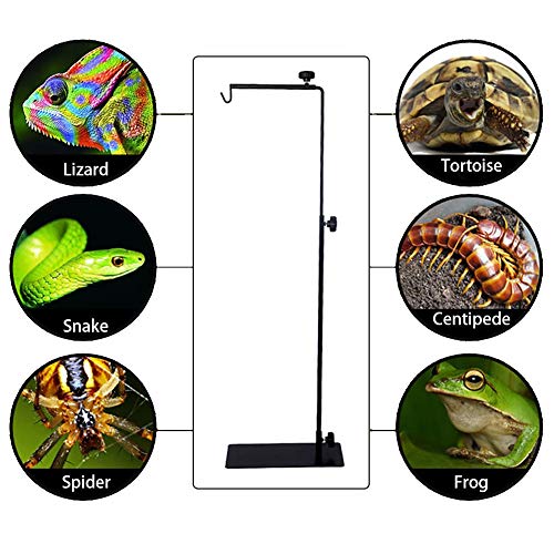 Liteness Calefacción del Sostenedor De Bulbo, Telescópico Ajustable Metal Lámpara De Pie Soporte para Pollos del Reptil Terrario para Mascotas Criadora Brilliant