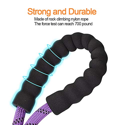 Litthing Correa para el Perro Nylon Ajustable Negro sólido Reflectante 150 cm para Perros Grandes o medianos Adecuado para Correr Senderismo Correr (Morado)