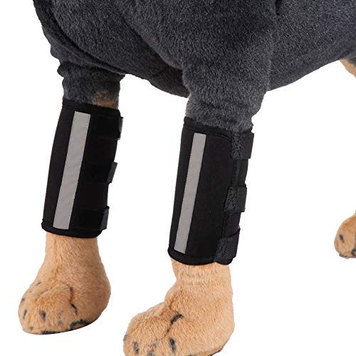 Liyeehao Envoltura de Patas Delanteras para Perros, Envoltura elástica de compresión de Pata Negra Suave, Material SBR cómodo para Mascotas para Perros(L)