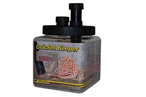 Lucky Reptile Cricket Keeper, para la Postura de Insectos alimenticios