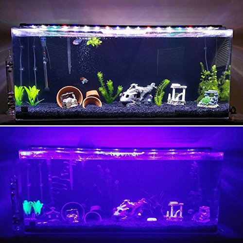 Main Luz LED, iluminación Acuario Acuario Blanco Azul Rojo Verde luz 7,5 W/16 W/22 W/31 W con ajustable Soporte para 30 cm de 50 cm/50 cm de 70 cm/70 cm de 90 cm/90 cm de 110 cm Acuario, color negro