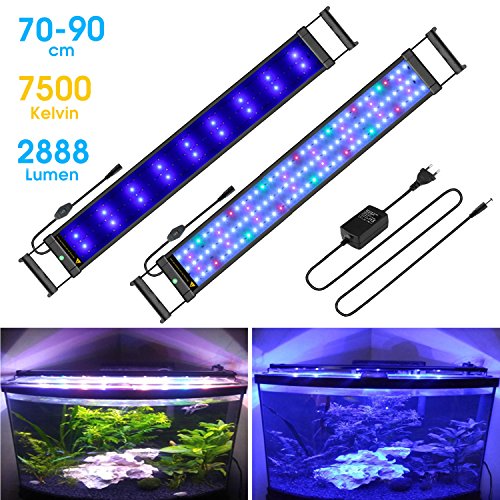 Main Luz LED, iluminación Acuario Acuario Blanco Azul Rojo Verde luz 7,5 W/16 W/22 W/31 W con ajustable Soporte para 30 cm de 50 cm/50 cm de 70 cm/70 cm de 90 cm/90 cm de 110 cm Acuario, color negro