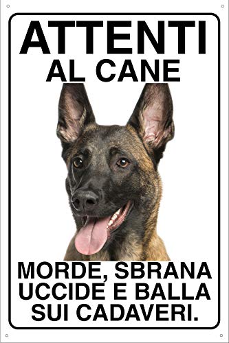 MALINOIS PASTORE BELGA 1 Atención al perro morde desmolda mata y pelota en cadáveres