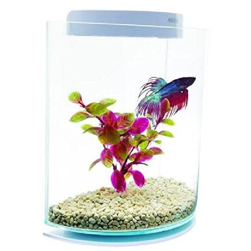 Marina Kit de Acuario Betta/Siamese Fighting Fish Forma de Media Luna 3 litros