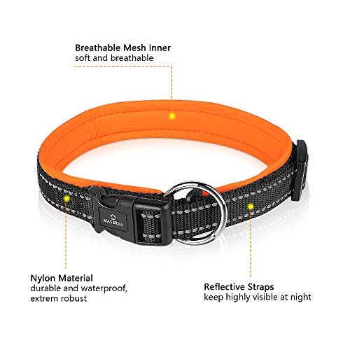 MASBRILL Collar de Perro Duradero y Reflectante, Ajustable Collar para Perros Grandes o Pequeños, Fabricado de Nylon con Suave Acolchado (Naranja M)