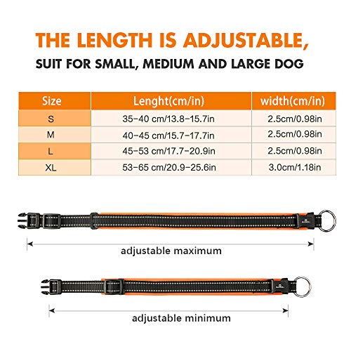 MASBRILL Collar de Perro Duradero y Reflectante, Ajustable Collar para Perros Grandes o Pequeños, Fabricado de Nylon con Suave Acolchado (Naranja M)