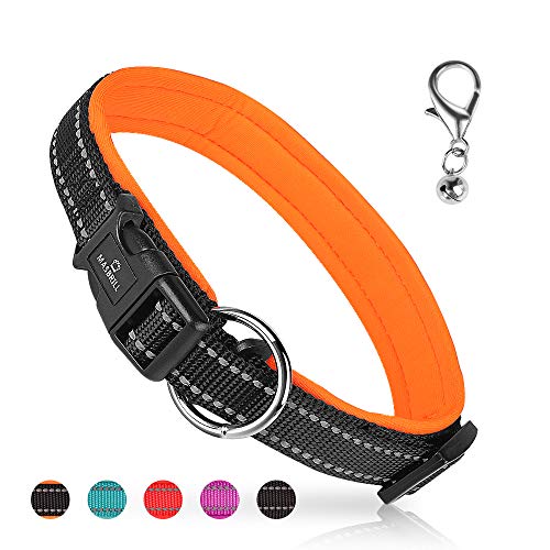 MASBRILL Collar de Perro Duradero y Reflectante, Ajustable Collar para Perros Grandes o Pequeños, Fabricado de Nylon con Suave Acolchado (Naranja M)