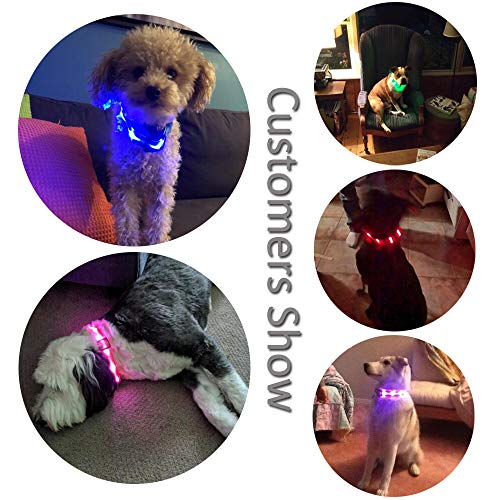 MASBRILL Collar LED Perro, Collar para Perro Luminoso Recargable y Impermeable, 3 Modos de Iluminación led y Tamaño Ajustable para Perros Pequeños Medianos Grandes(Rojo S)