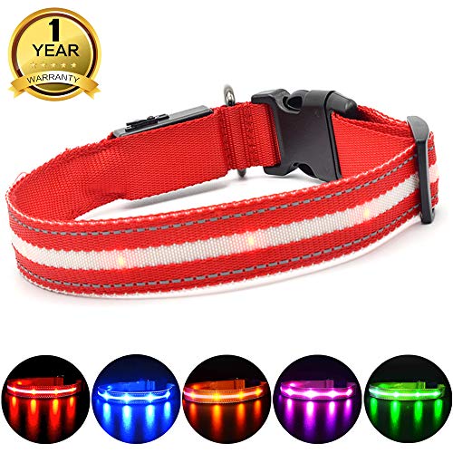 MASBRILL Collar LED Perro, Collar para Perro Luminoso Recargable y Impermeable, 3 Modos de Iluminación led y Tamaño Ajustable para Perros Pequeños Medianos Grandes(Rojo S)