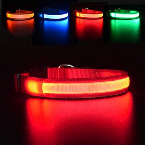 MASBRILL Collar Luminoso Perro de Mascota, 3 Modos Collar Perro Luz con Recargable y Impermeable, Ajustable Collares LED para Perros Pequeños/Medianos/Grandes(Rojo M)