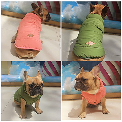 Meiwash Chaquetas para Perros Calentar Abrigos Ropa para Perros Cat West Abrigo Forrado de Invierno Chaleco de Ropa de Gato Pug Bulldog Francés (L, Verde)