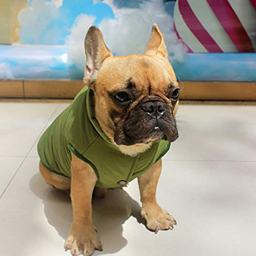 Meiwash Chaquetas para Perros Calentar Abrigos Ropa para Perros Cat West Abrigo Forrado de Invierno Chaleco de Ropa de Gato Pug Bulldog Francés (L, Verde)