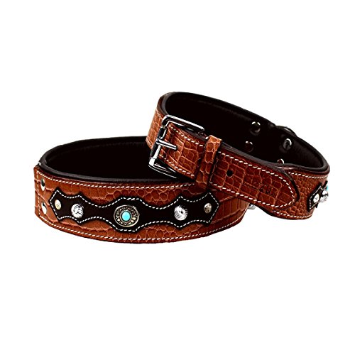 MICHUR Lakota Collar de Perro en Cuero, Collar para Perros, MARRÓN, Cuero, Piedras Azules con RIVOS Redondos, Disponible en Varios tamaños, Collar Cuero