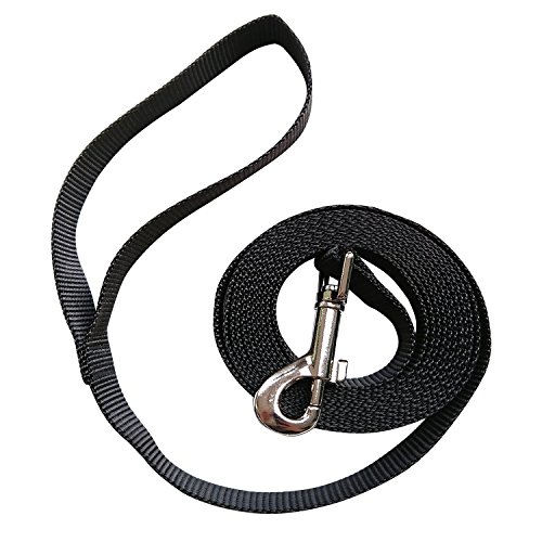 MINGZE Correa de Perro, Correa de Entrenamiento de Nylon, Cuerda de tracción para Perros Grandes y medianos, Perros pequeños, Ideal para Entrenamiento de Perros, Juegos (3m*2.5cm, Negro)