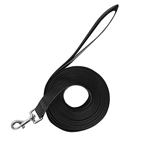 MINGZE Correa de Perro, Correa de Entrenamiento de Nylon, Cuerda de tracción para Perros Grandes y medianos, Perros pequeños, Ideal para Entrenamiento de Perros, Juegos (3m*2.5cm, Negro)