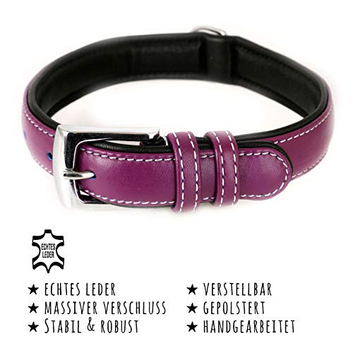 Monkimau Collar para perros de piel auténtica acolchada ajustable M 37-42 cm