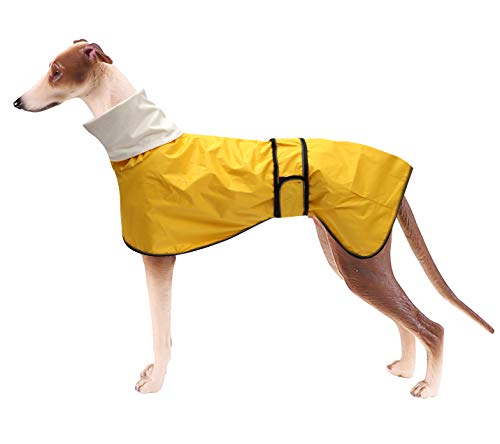 Morezi Chubasquero para Perro con Barra Reflectante, Resistente a la Lluvia/Agua, Chaleco Ajustable – Chaleco Impermeable para Perros para Galgos, erechadores y Whippets 0608