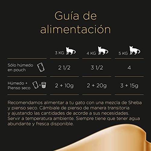 Multipack de 4 bolsitas Delicatezze para gatos de selección mixta en gelatina (Pack de 13)