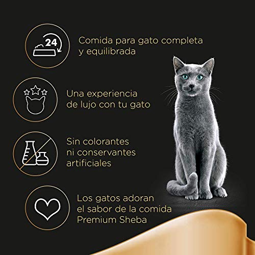 Multipack de 4 bolsitas Delicatezze para gatos de selección mixta en gelatina (Pack de 13)