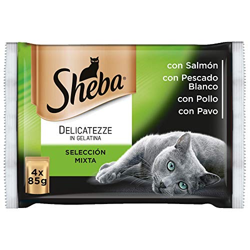 Multipack de 4 bolsitas Delicatezze para gatos de selección mixta en gelatina (Pack de 13)