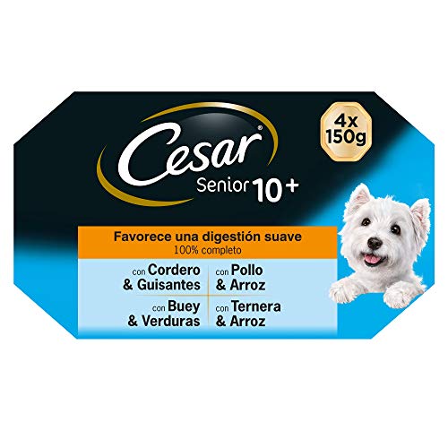 Multipack de 4 tarrinas de 150g para perro senior (Pack de 6)