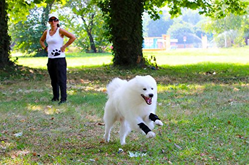 Nature Pet - Muñequera deportiva para perros