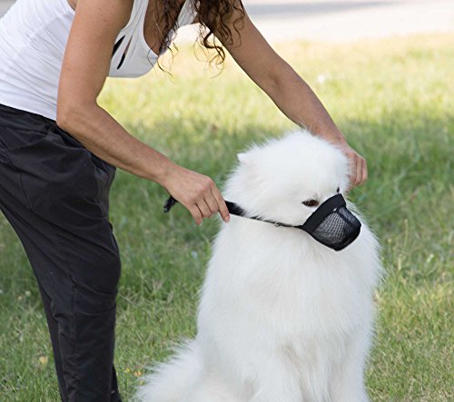 Nature Pet - Protector de cebos para Perros y Perros para protección después de la cirugía