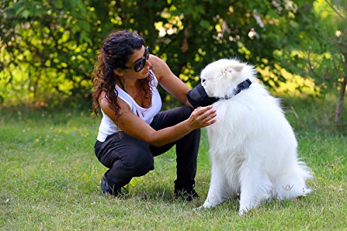 Nature Pet - Protector de cebos para Perros y Perros para protección después de la cirugía