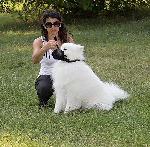 Nature Pet - Protector de cebos para Perros y Perros para protección después de la cirugía