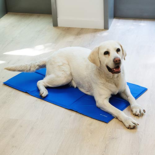 Navaris Alfombra de enfriamiento para Mascotas - Manta refrescante 81 x 96 CM para Perro Gato - Alfombrilla de refrigeración Lavable Plegable - Azul